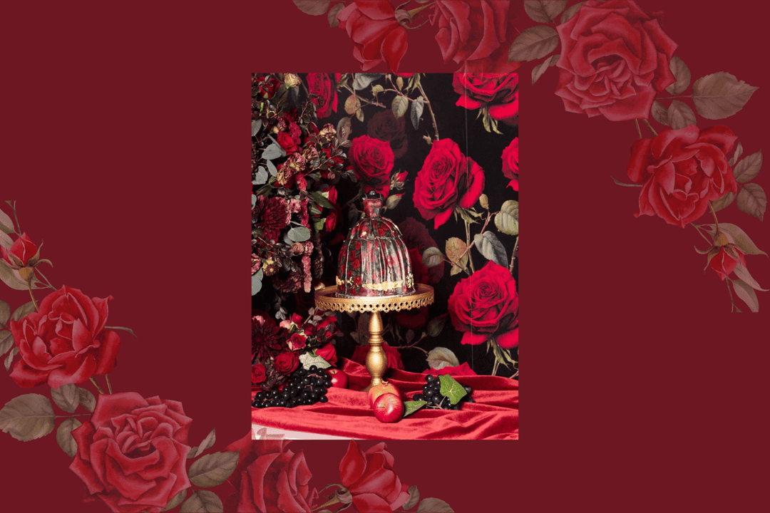 Alice + Olivia Herbstkollektion 2026/27 bei Veronica Pohle