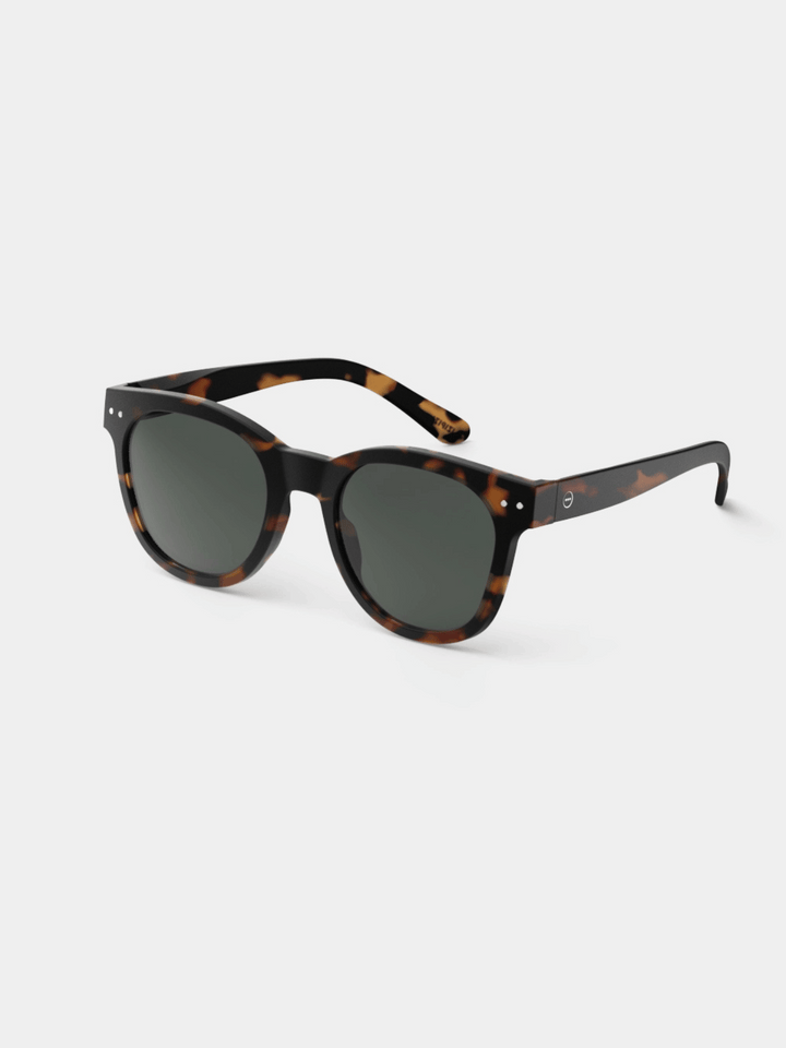Sunglasses #N Tortoise