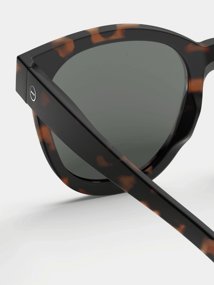 Sunglasses #N Tortoise