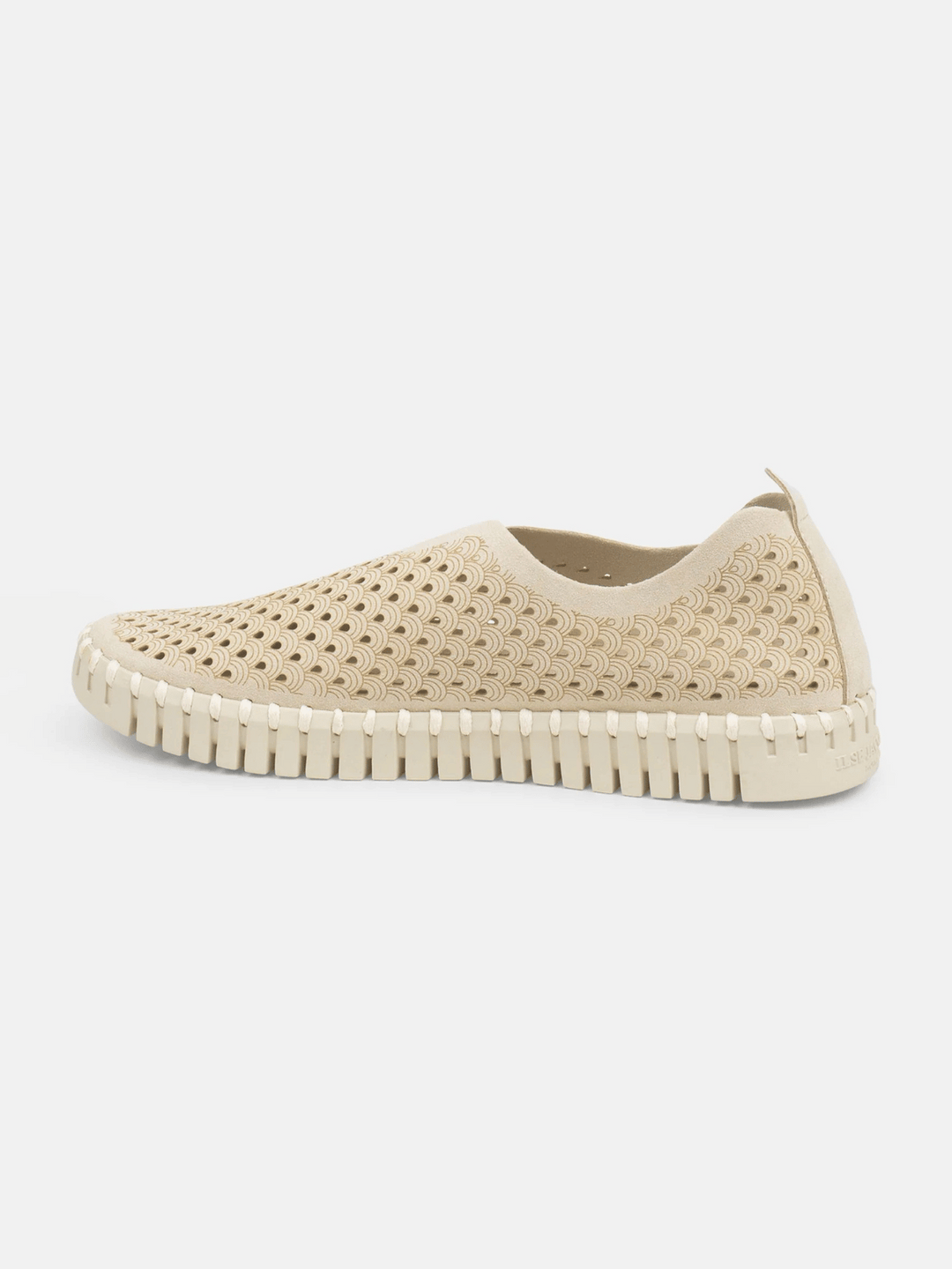 Tulip Schuhe Kit