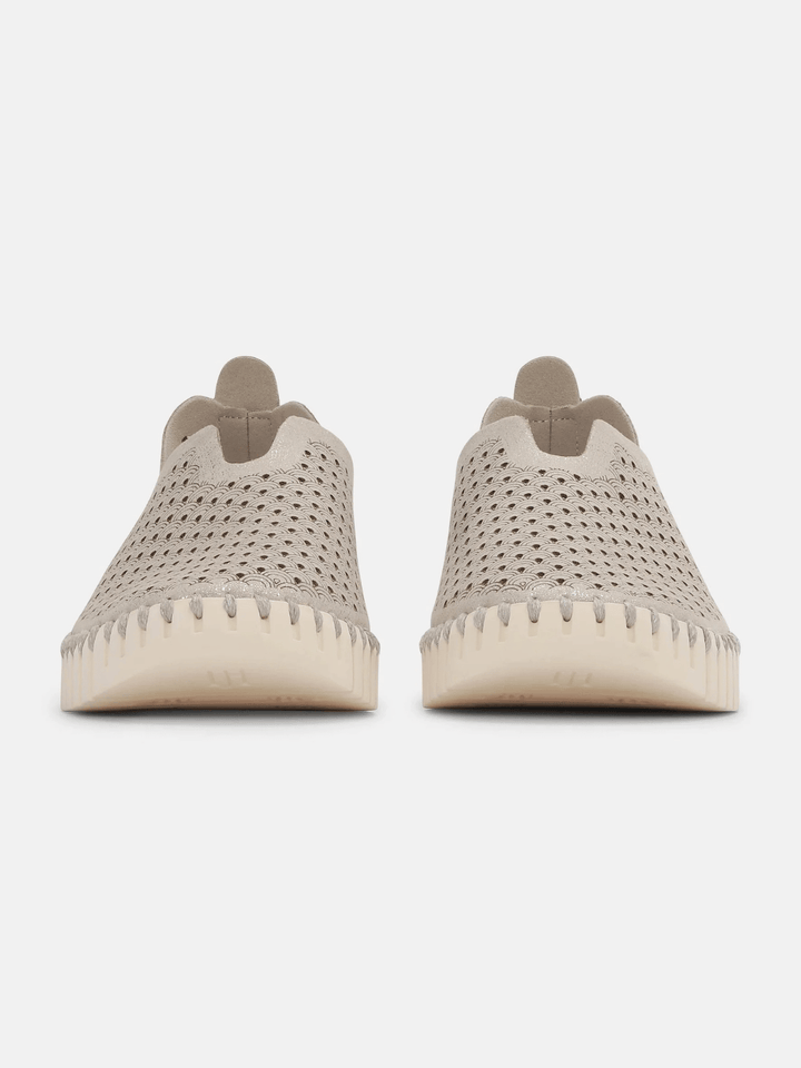 Tulip Schuhe Ivory